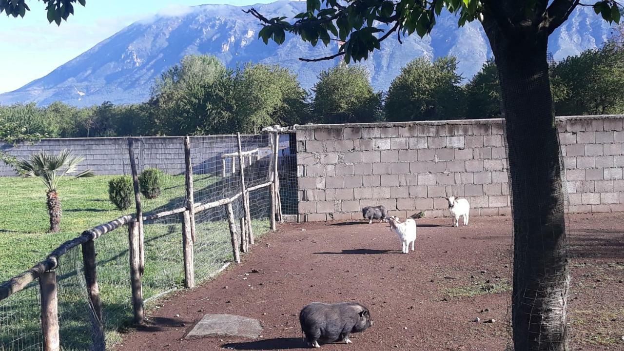 Agriturismo Carlo Cioffi Hotel Rotondi Kültér fotó